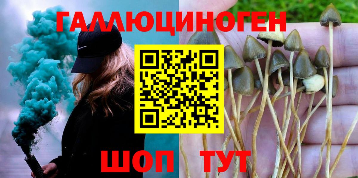Ногинск  Галлюциногенные грибы мухоморы  наркошоп  Вход с VPN 
